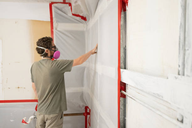 Best HVAC Mold Inspection and Cleaning  in El Jebel, CO