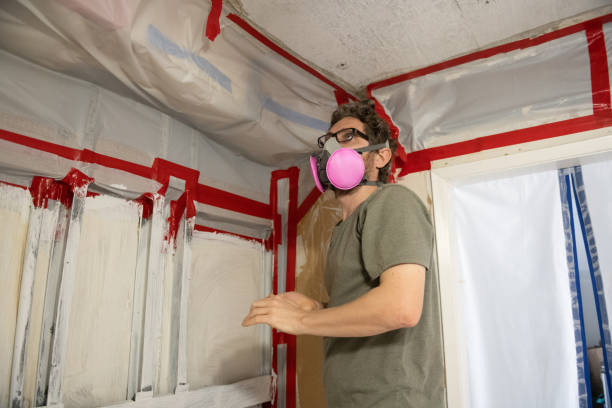 Best Post-Construction Mold Inspection  in El Jebel, CO