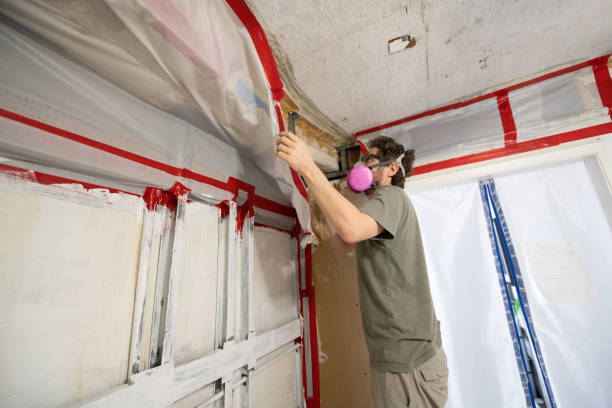 Best Indoor Air Quality Assessment  in El Jebel, CO