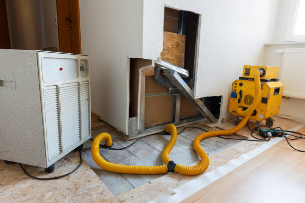 Best Asbestos and Lead Testing During Mold Inspection  in El Jebel, CO