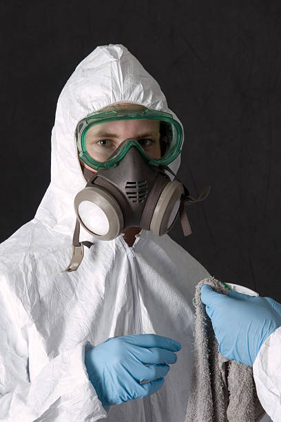 Best Industrial Mold Remediation  in El Jebel, CO